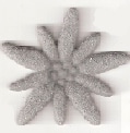 Edelweiss aus Filz gestanzt - filzaccessoires, weihnachten, everyday-filzaccessoires