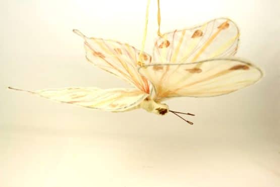 Schmetterling creme-braun, ca 22 cm lang - fruehjahr, everyday-dekoaccessoires, dekoaccessoires